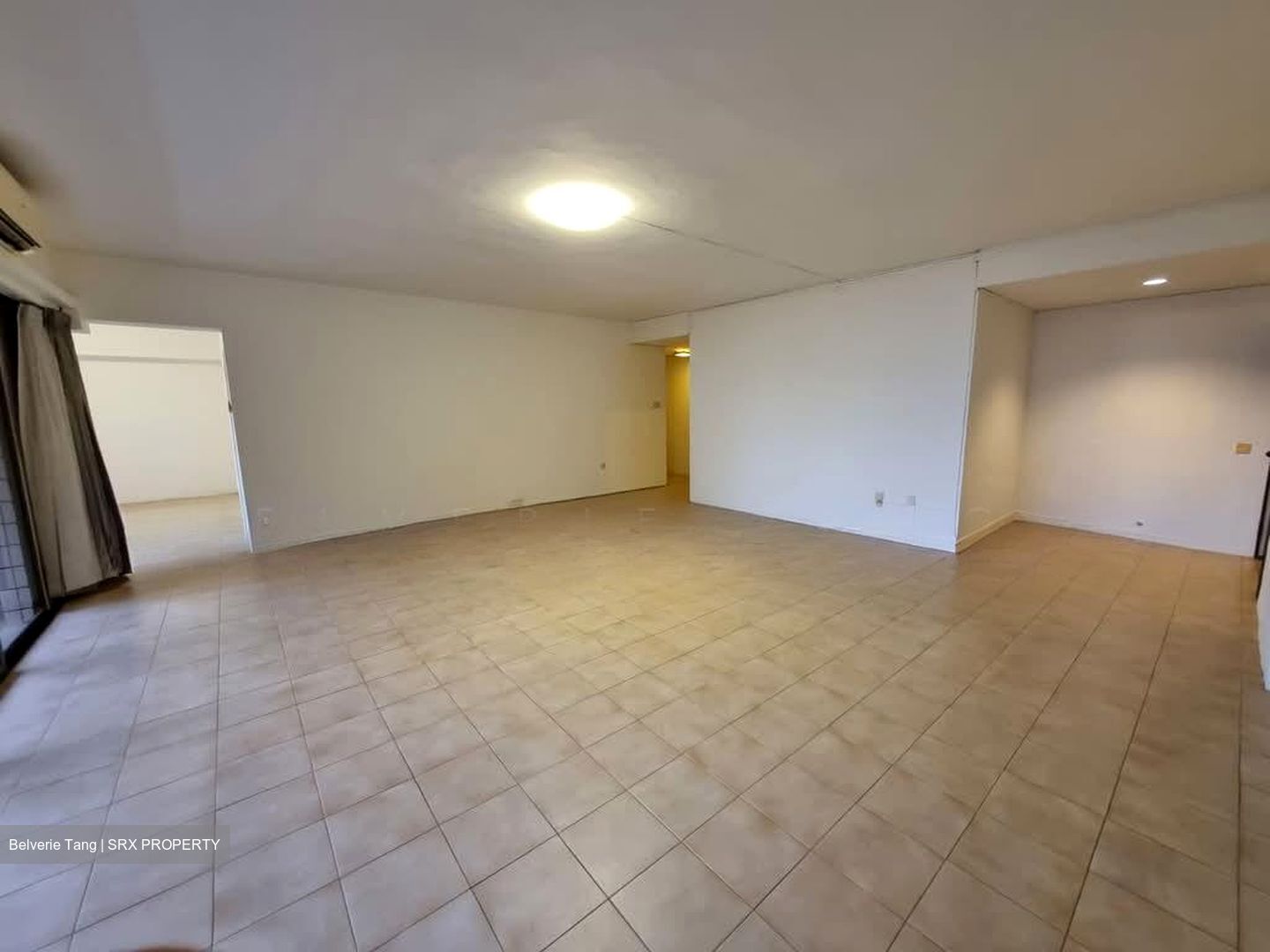 The Cairnhill (D9), Condominium #613854991